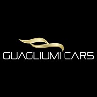 Guagliumi Cars logo - Similar company to Militem