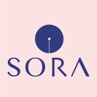 Sora Hospitality logo - Similar company to Hoàng Yến Group