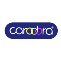 Caradora International logo - Similar company to Voifs (Voice Of India For Startups)