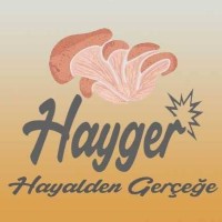 HAYGER İSTİRİDYE MANTARI logo - Similar company to Oktay Tarım Ürünleri