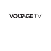 VOLTAGE TV PRODUCTIONS LIMITED logo - Similar company to Profactor Llc