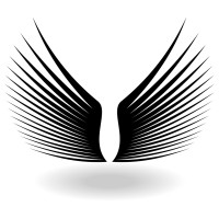 TheAirlinePilots logo - Similar company to Welfare Network