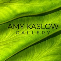 Amy Kaslow Gallery