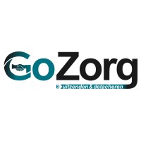 GoZorg logo - Similar company to Nursestation