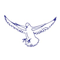 Al Quoz Contracting Company L.l.c
