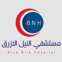 BLUE NILE HOSPITAL logo - Similar company to Nile Eye Hospital