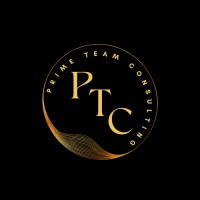 Prime Team Consulting logo - Similar company to Negosentro Media