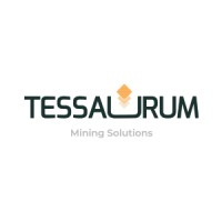 Tessaurum Mining Solutions logo - Similar company to Minecrons