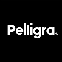 Pelligra® logo - Similar company to Next Generation Electrical