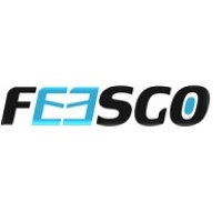 FEESGO logo - Similar company to Team Freight