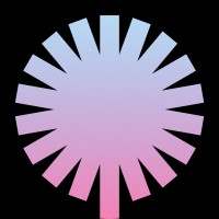 Blossom Beverages logo - Similar company to Sunset Nine