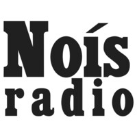nois radio logo - Similar company to Searches Everywhere