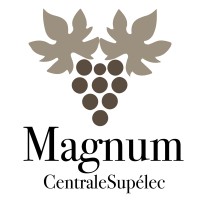 Magnum logo - Similar company to Multicam Group