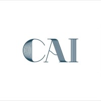 Cai Store logo - Similar company to Tiesta