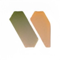 Wonderflux logo - Similar company to Lessonlab
