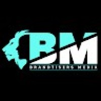 Brandtisers Media logo - Similar company to Vantage Blue Point