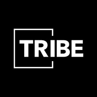 TRIBE Solutions logo - Similar company to Tribal Solutions Group, Llc