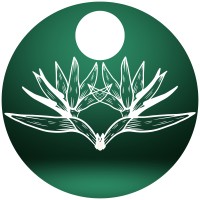 Kim Diorio Coaching, Llc