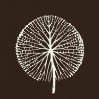 United for a Living Amazon logo - Similar company to Defensoras