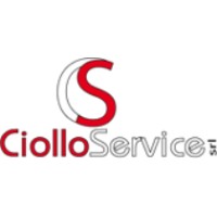 Ciollo Service Srl logo - Similar company to Elevel S.R.L. - Web Agency, Software House, Comunication Company