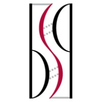 Boston Strategic Partners logo - Similar company to Leinco Technologies