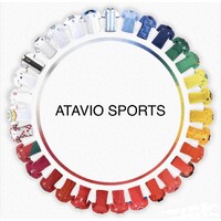 Atavio Sports logo - Similar company to Estate Solutions