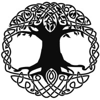 Woodworth Contrarian Fund, LP logo - Similar company to Dapplebay