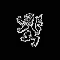 Aston & Stone Consulting logo - Similar company to Delta Sierra Consulting (Dsc-It)