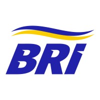 BR International Logistics Pty Ltd (BRi) logo - Similar company to Think Global Logistics