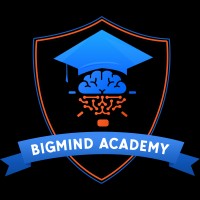 BigMind logo - Similar company to Bigmind