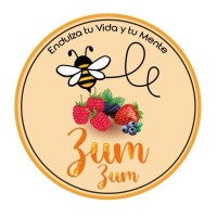 ZumZum logo - Similar company to Zumzum Group