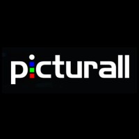 Picturall Ltd logo - Similar company to Sim2 Multimedia S.R.L.