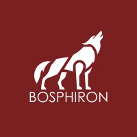 Bosphiron logo - Similar company to Test Page