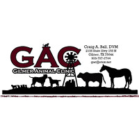 Gilmer Animal Clinic