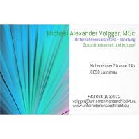 Michael Alexander Volgger, MSc - Digitalisierung & IT Innovationen logo - Similar company to Infotech Ag