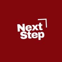 Next Step One Million Dollar logo - Similar company to Lion Digital Media Agency