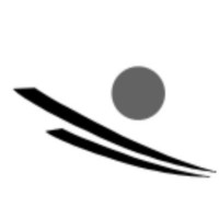 Black Pearl Investments logo - Similar company to Evans Real Estate Investments