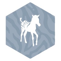 De Kleine Zebra logo - Similar company to Groupe Noé Nature