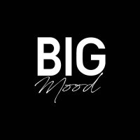 Big Mood Italy logo - Similar company to Big Mood®