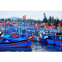Fish and Seafood from Vietnam logo - Similar company to Fish Fresh Ltd