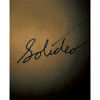 Solideo logo - Similar company to Real Programming 4 Kids