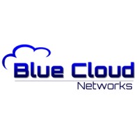 Blue Cloud Networks logo - Similar company to 12Nets Inc.