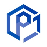 Principle One logo - Similar company to Zoom Visual