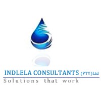 Indlela Consultants logo - Similar company to Acumen Group