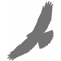 Greyhawk Consulting logo - Similar company to Source50 Summits