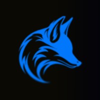 Blackfox Software logo - Similar company to Vyoo