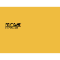 Fight Game Performance
