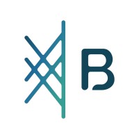 Bluepine logo - Similar company to Stokastic