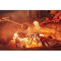 Cv. Universal Briket Indonesia logo - Similar company to Dua Coco Indonesia