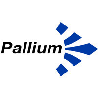 Pallium Marketing Private Limited logo - Similar company to Jsb Buildwell